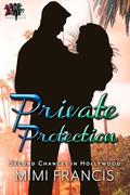 Private Protection by Mimi Francis