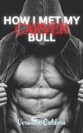 How I Met My Bull: Carver: My husband's best friend shows us how to use a sex swing by Veronica Caldera