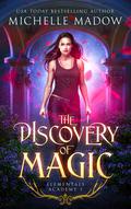 The Discovery of Magic by Michelle Madow