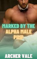 Marked by the Alpha Male Pimp (Gay Submission Erotica: Edging and Ownership #2) by Archer Vale