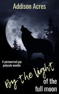 By The Light Of The Full Moon by Addison Acres