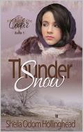 Thunder Snow (In the Shadow of the Cedar #1) by Sheila Hollinghead