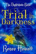 Trial in Darkness by Renee Hewett