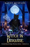 Witch in Disguise by Karen McSpade