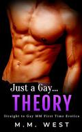 Just a Gay... Theory (Just... Straight Enemies #4) by M.M. West