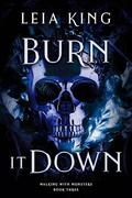 Burn It Down by Leia King