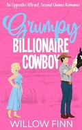 Grumpy Billionaire Cowboy (The Delaney Brothers #4) by Willow Finn