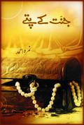 Jannat Kay Pattay / جنت کے پتے by Nemrah Ahmed