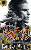 Wanting More (Small Town Forbidden Love #1) by Katerina Winters