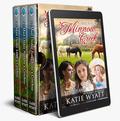 Brides of Minnow Creek Complete Series (Box Set Complete #65) by Ellen Anderson
