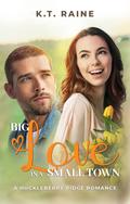 Big Love in a Small Town: An inspirational, secret baby romance (Huckleberry Ridge Romance #2) by K.T. Raine