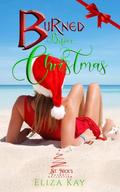 Burned Before Christmas : Part One by Eliza Kay