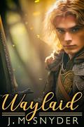 Waylaid by J.M. Snyder