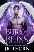 Burn in Bliss by J.R. Thorn