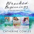 Wrecked Beginnings: Reckless Memories / Perfect Wreckage / Wrecked Palace by Andi Arndt