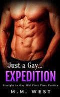 Just a Gay... Expedition (Just... Straight Enemies #6) by M.M. West