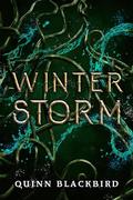 WINTER STORM by Quinn Blackbird