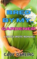 Bred By My Gardener: A fertile erotic romance (Bred By My... #12) by Cady Darling
