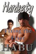 Fixing the Fixer: Hardesty Vice Cop Book 11 by Habu