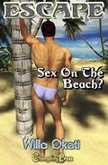 Sex on the Beach? : A Paranormal Women's Fiction Hot Flash (Escape! #3) by Willa Okati