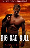 Big Bad Bull by Tamrin Banks