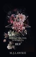 The Last Witch: Vol 3.5 by M.J. Lawrie