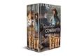 Unforgettable Cowboys Box Set: Part One : Clean Cowboy Romance with a Touch of Suspense by Danae Little