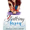 Stalking Aaron (Bad Boys in Love #2) by Angela Lynn Carver