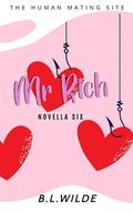 Mr. Rich by B.L. Wilde