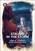 Stalker in the Storm (The Scarecrow Murders #4) by Carla Cassidy