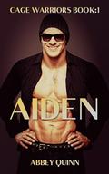 AIDAN: Friends to Lovers, Found Family, MMA, Second Chance Romance (CAGE WARRIORS #1) by Abbey Quinn