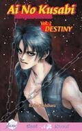 Ai No Kusabi The Space Between Volume 2: Destiny by Rieko Yoshihara