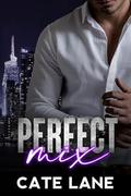 Perfect Mix by Cate Lane