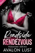 Roadside Rendezvous : Pleasure Series Book 6 by Avalon Lust