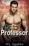 The Professor by M.L. Sapphire
