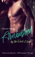 Ambushed by the Wood Elves (The Alfakkur #1) by Cherry Snow