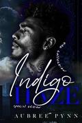 Indigo Haze: Special Edition by Aubreé Pynn