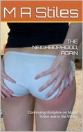 THE NEIGHBORHOOD, AGAIN: Continuing discipline on Maple Street and in the Village by M A STILES
