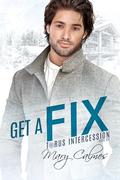 Get A Fix (Torus Intercession #6) by Mary Calmes