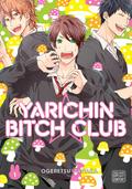 Yarichin Bitch Club, Vol. 1 by Tanaka Ogeretsu