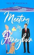 Meeting My Honeybun (The Brothers Macallan #2) by Red Phoenix