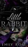 Little Rabbit (New York Mafia #2) by Emily Rose