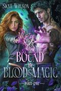 Soulbound Shadows: Part 1 (Soulbound Shadows #1) by Skye Wilson