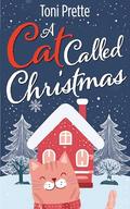 A Cat Called Christmas by Illustration By DC Thomson