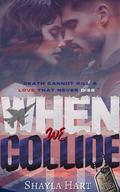 When We Collide by Shayla Hart