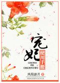 Chongfei Manual by Feng He You Yue, 风荷游月
