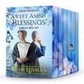 Sweet Amish Blessings - 6 Book Box Set Collection by Ruth Lehman