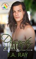 Disaster Stray (Rainbow Rescue Cat Café #2) by F.A. Ray