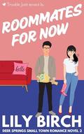 Roommates for Now: Deer Springs Small Town Romance by Lily Birch