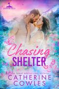 Chasing Shelter (Sparrow Falls #5) by Catherine Cowles
